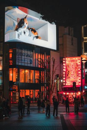 3D digital signage at Shinjuku train station. © Suicasmo, 2021, CC BY-SA 4.0.